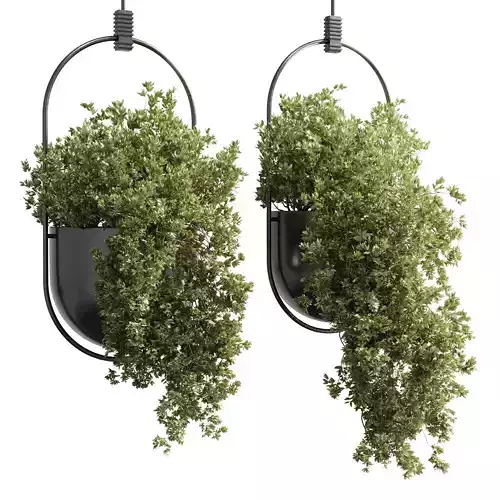indoor outdoor Indoor plants hanging pot metal box vase 3D model