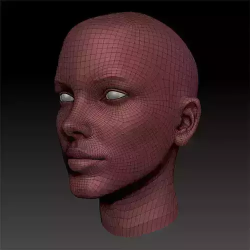 Woman Plus Base Mesh Z-Tool OBJ MA FBX