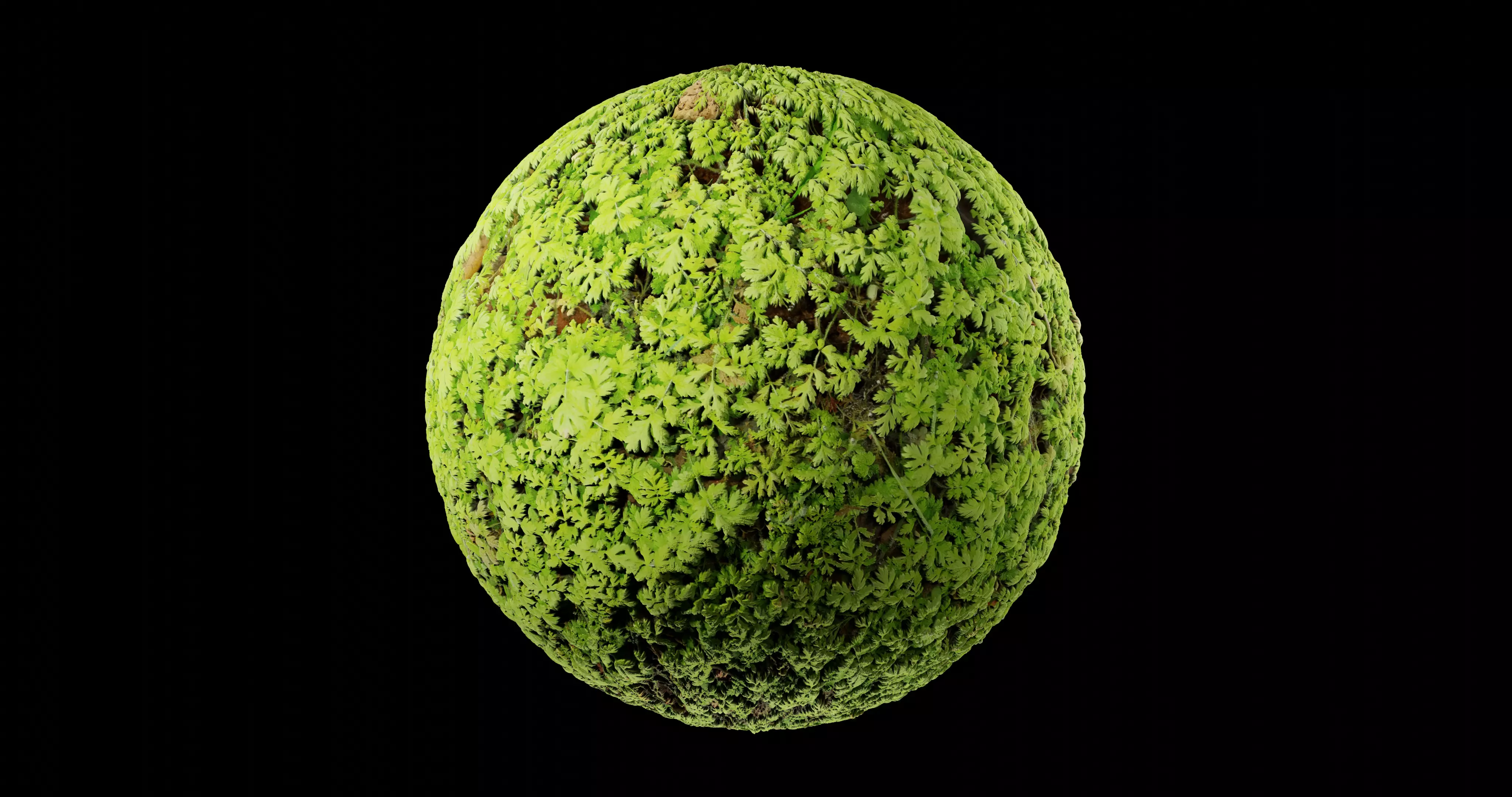 Low Vegetation 1 Texture_0