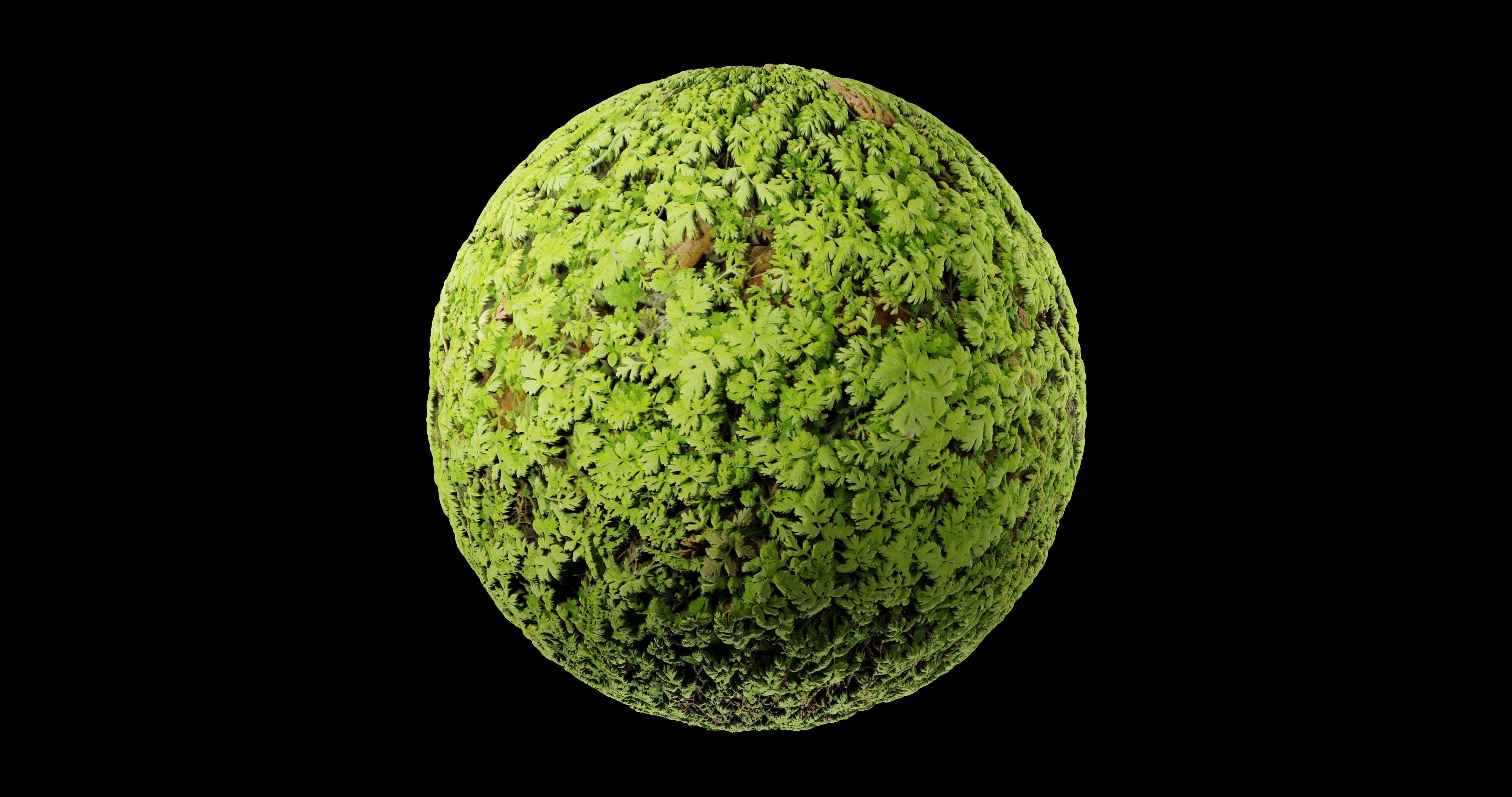 Low Vegetation 1 Texture_2