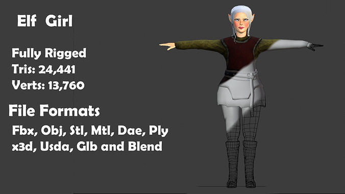 Elf Girl Fully Rigged  Low-poly 3D model