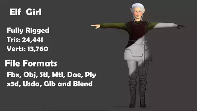 Elf Girl Fully Rigged  Low-poly 3D model