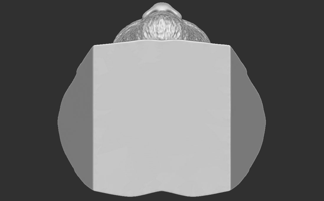 Kyrie Irving bust for 3D printing 3D print model_28