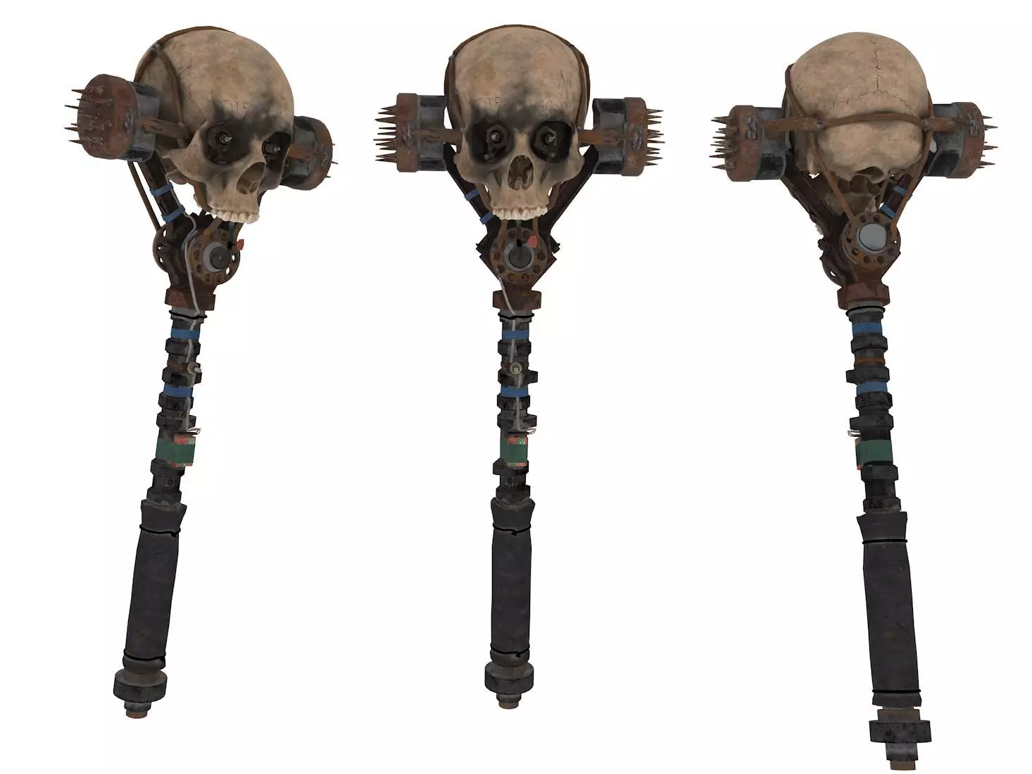 skull bone Free 3D model_0