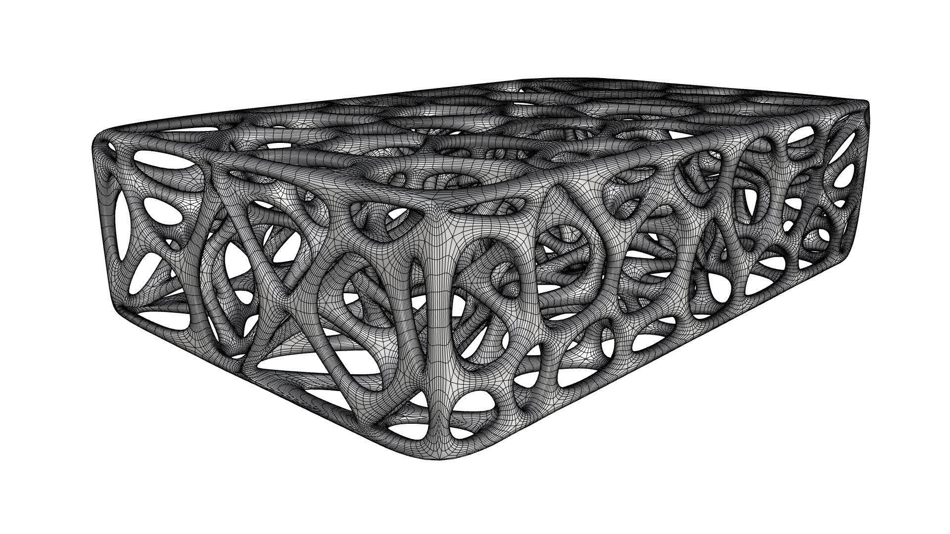 3D Skeleton Voronoi Cells 3D model_6
