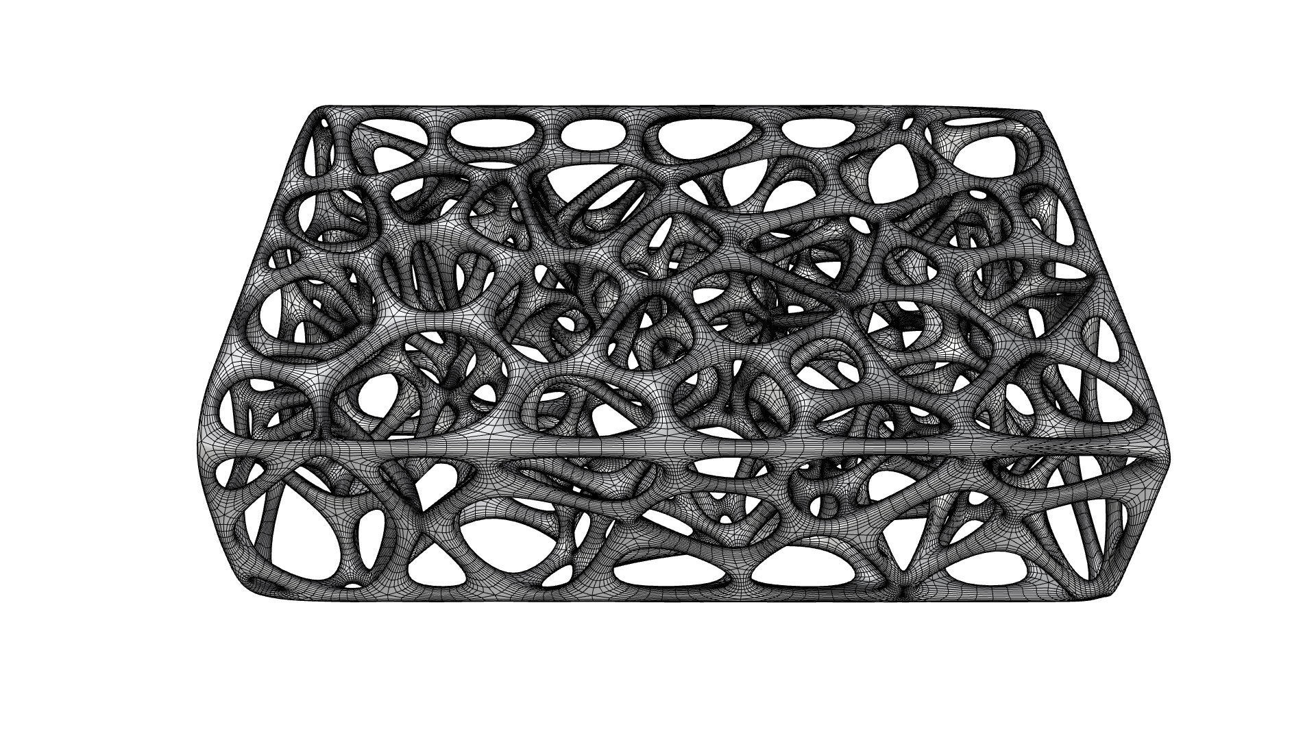 3D Skeleton Voronoi Cells 3D model_8