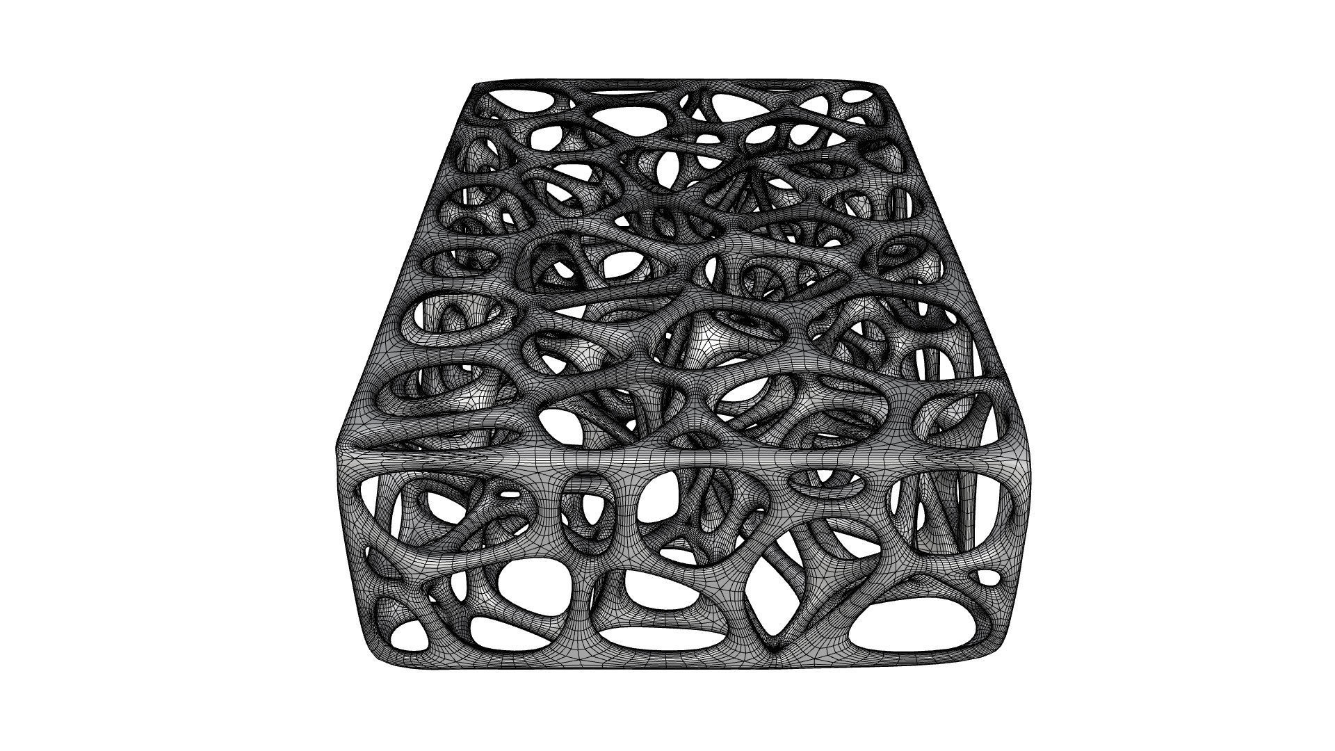 3D Skeleton Voronoi Cells 3D model_12