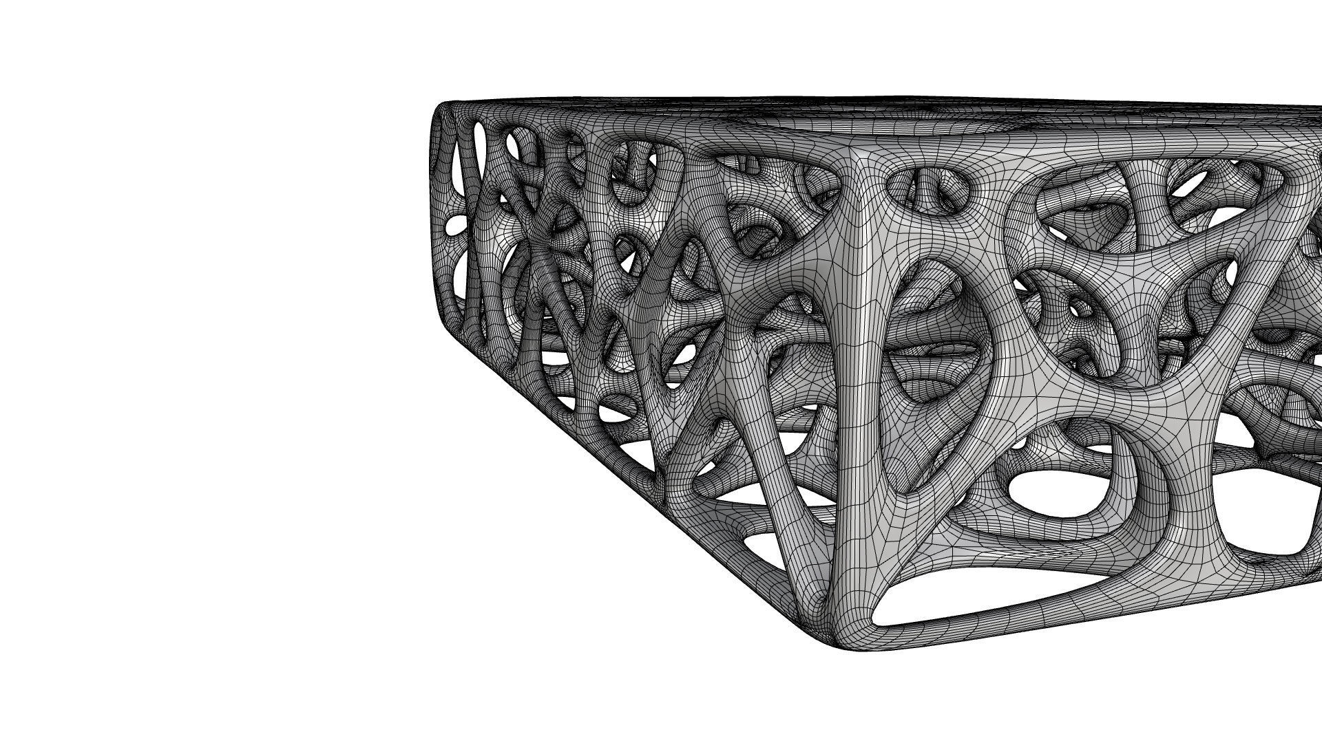 3D Skeleton Voronoi Cells 3D model_10