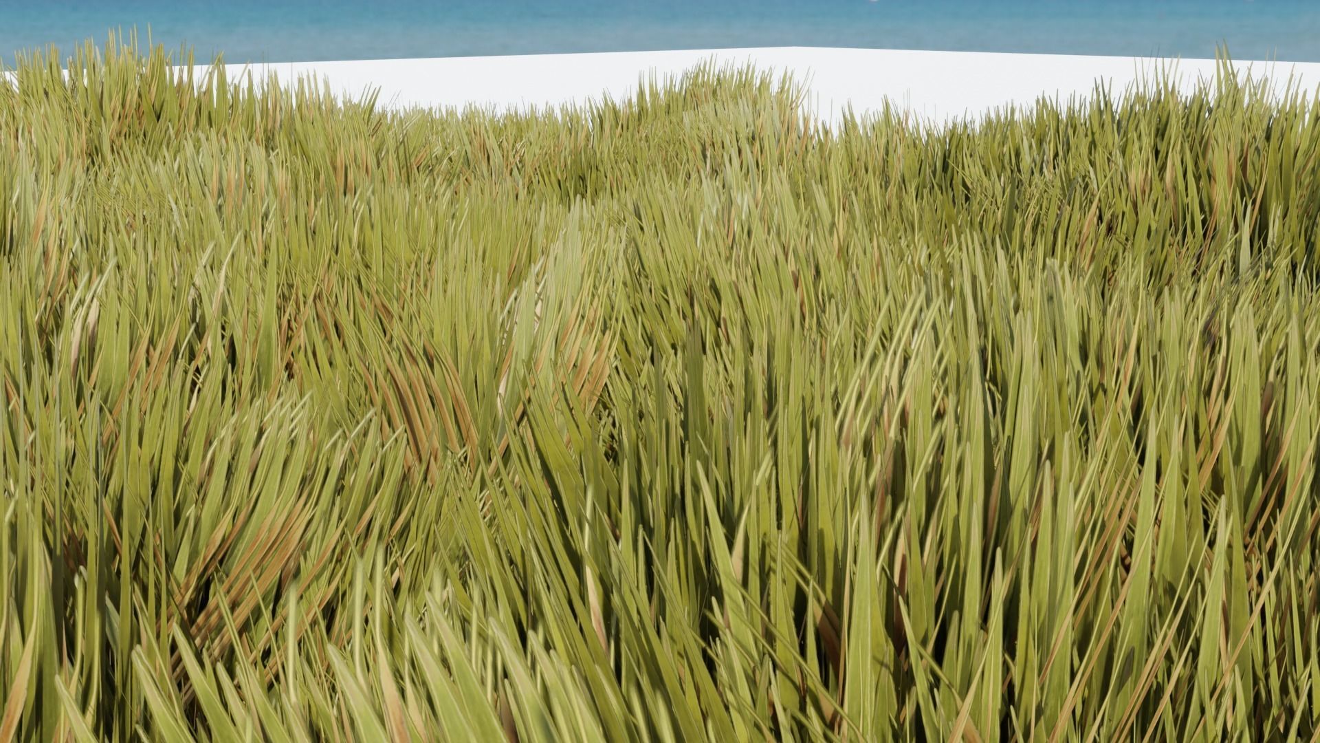 Grass - Erba Free 3D model_3