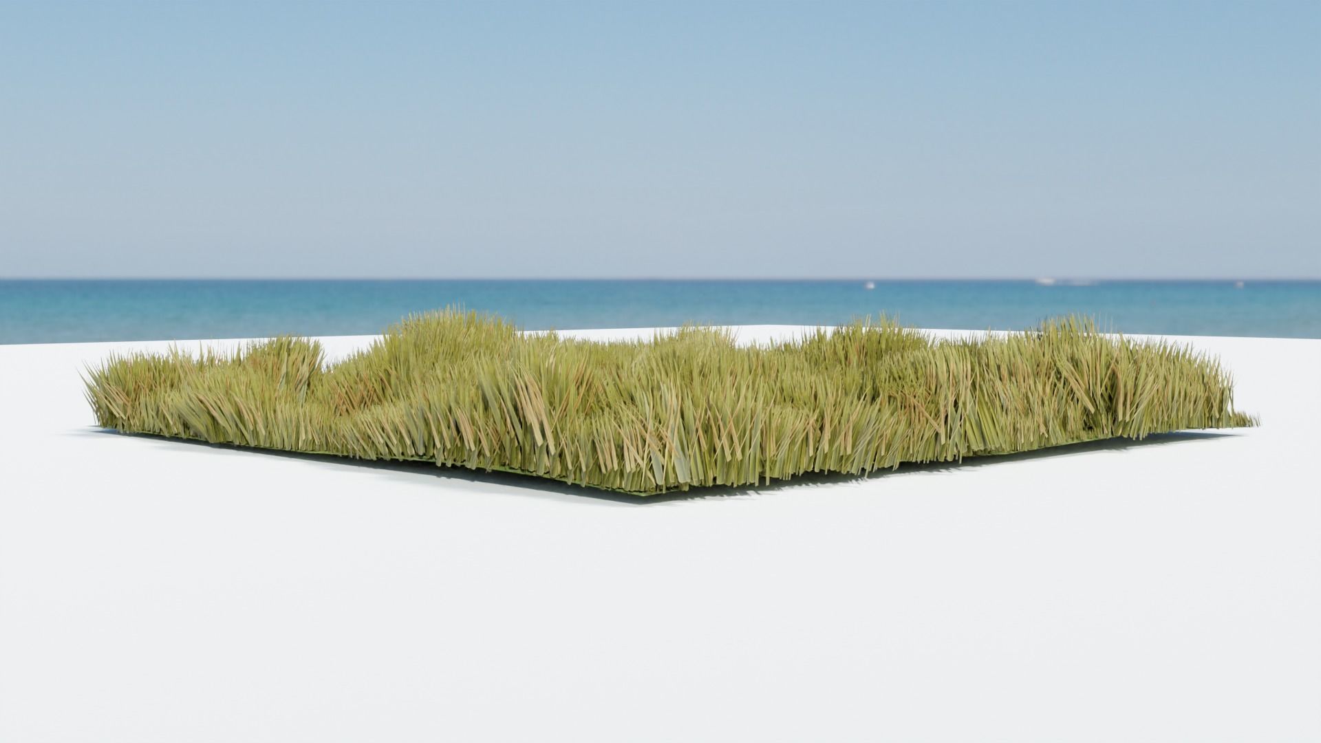 Grass - Erba Free 3D model_2