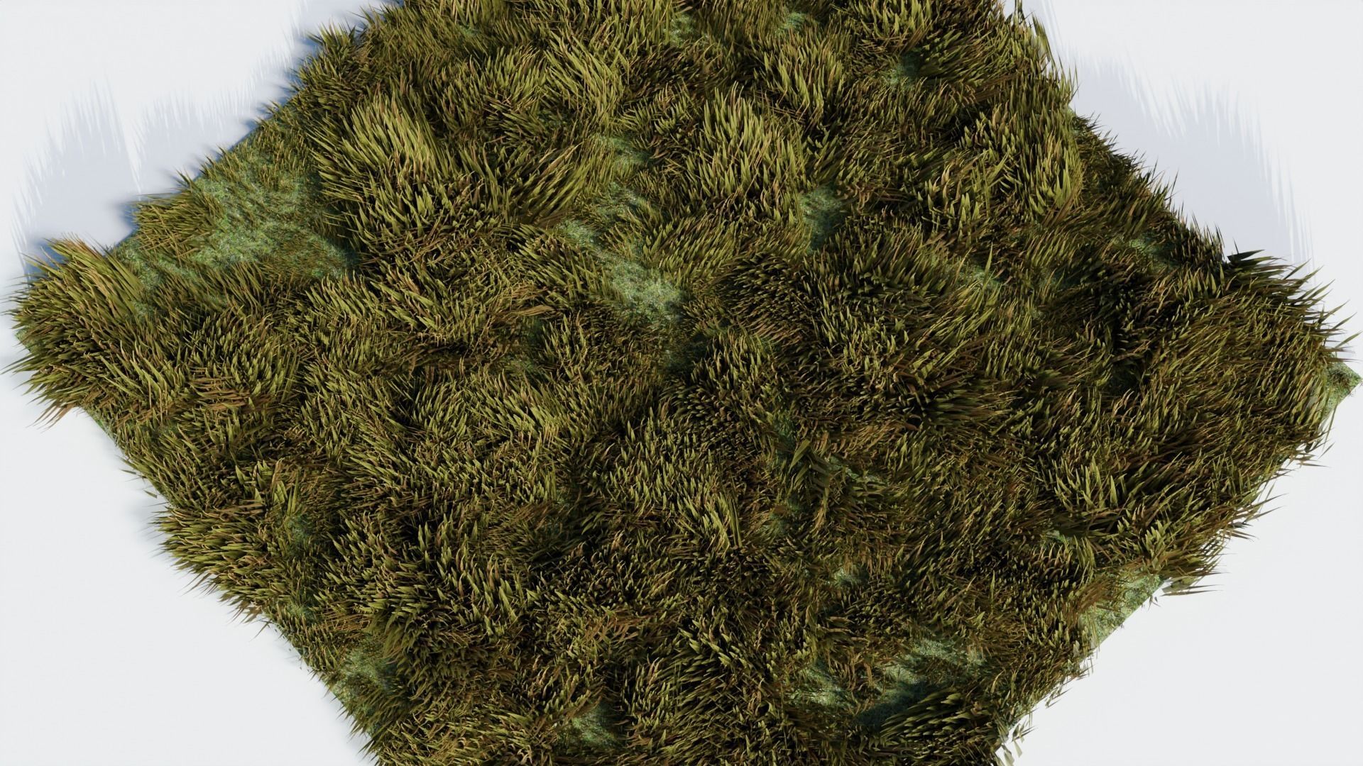 Grass - Erba Free 3D model_4