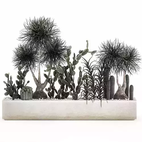 cactus collection in a concrete flowerpot 1102 3D model