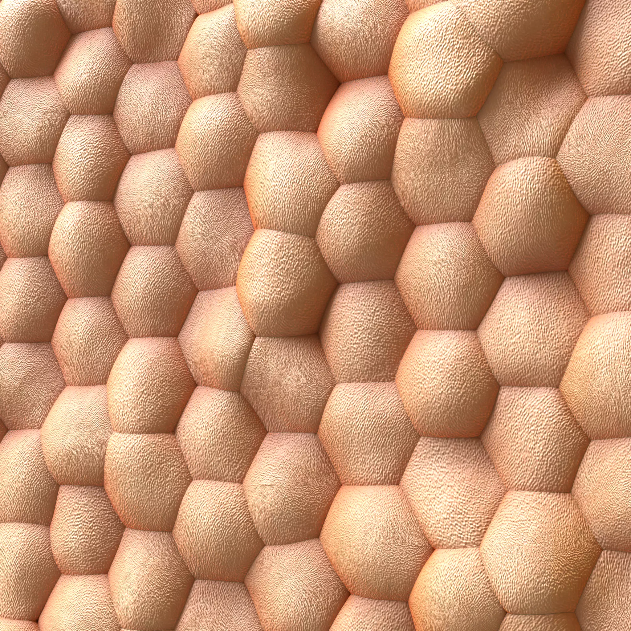 Human skin anatomy 3D model_0