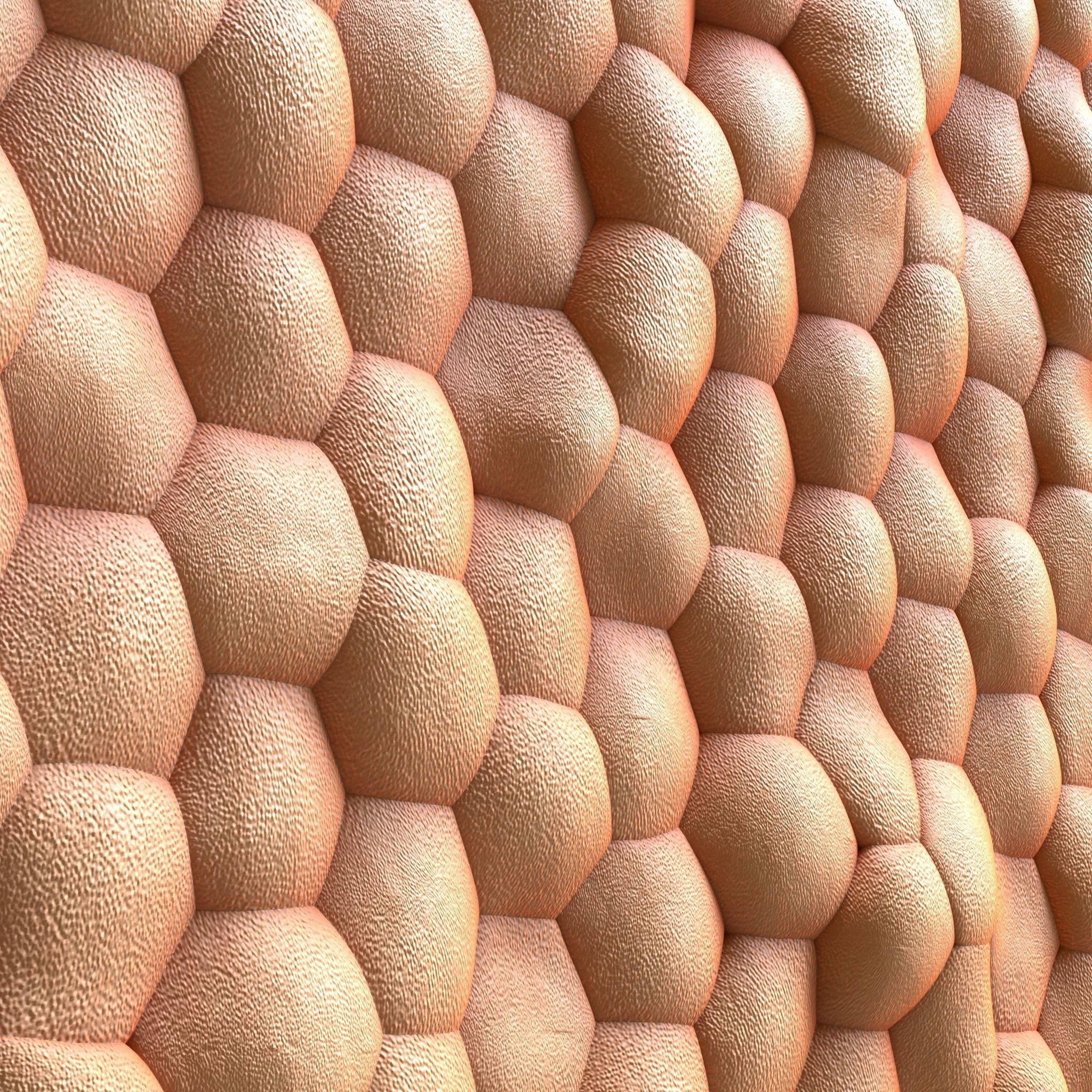 Human skin anatomy 3D model_1