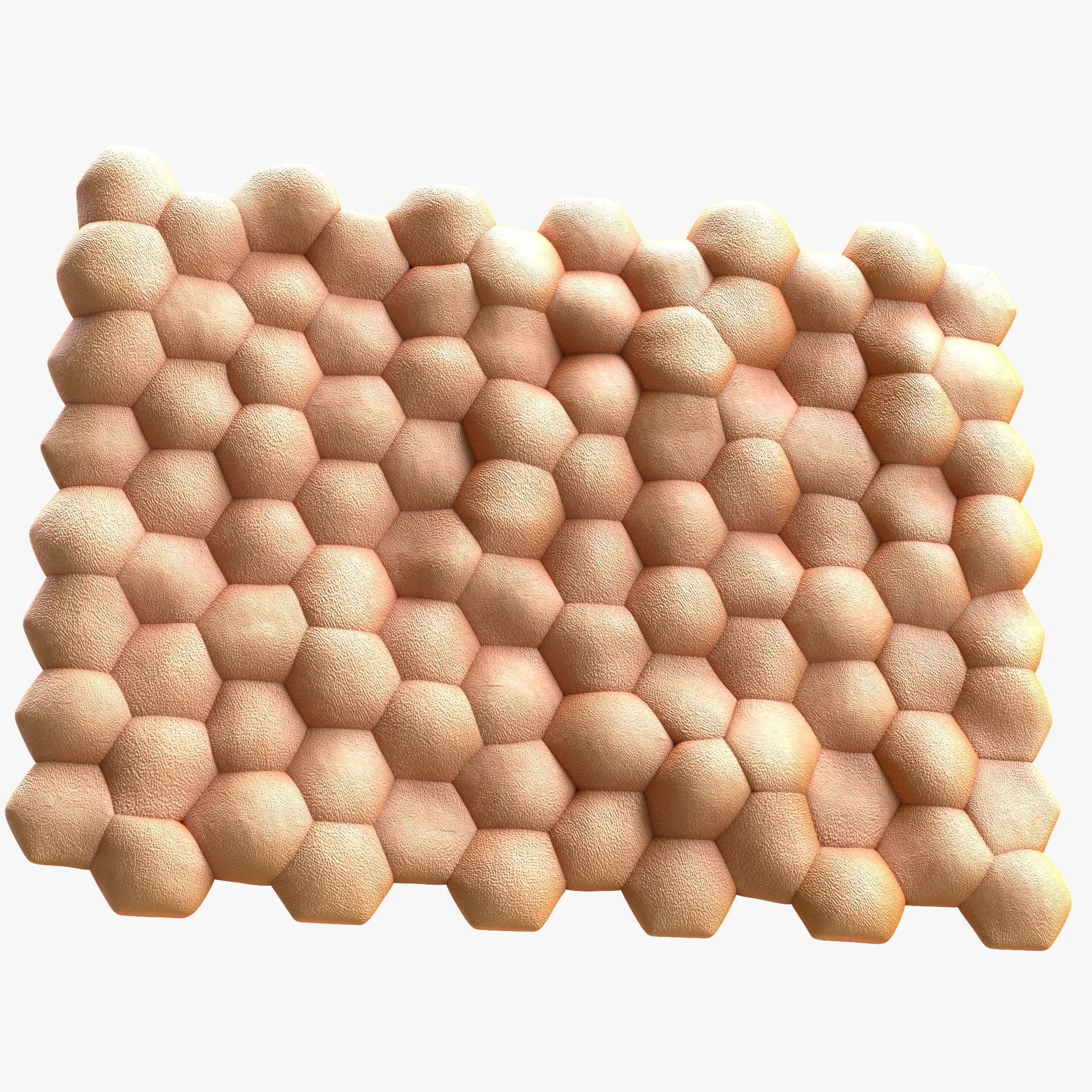 Human skin anatomy 3D model_4