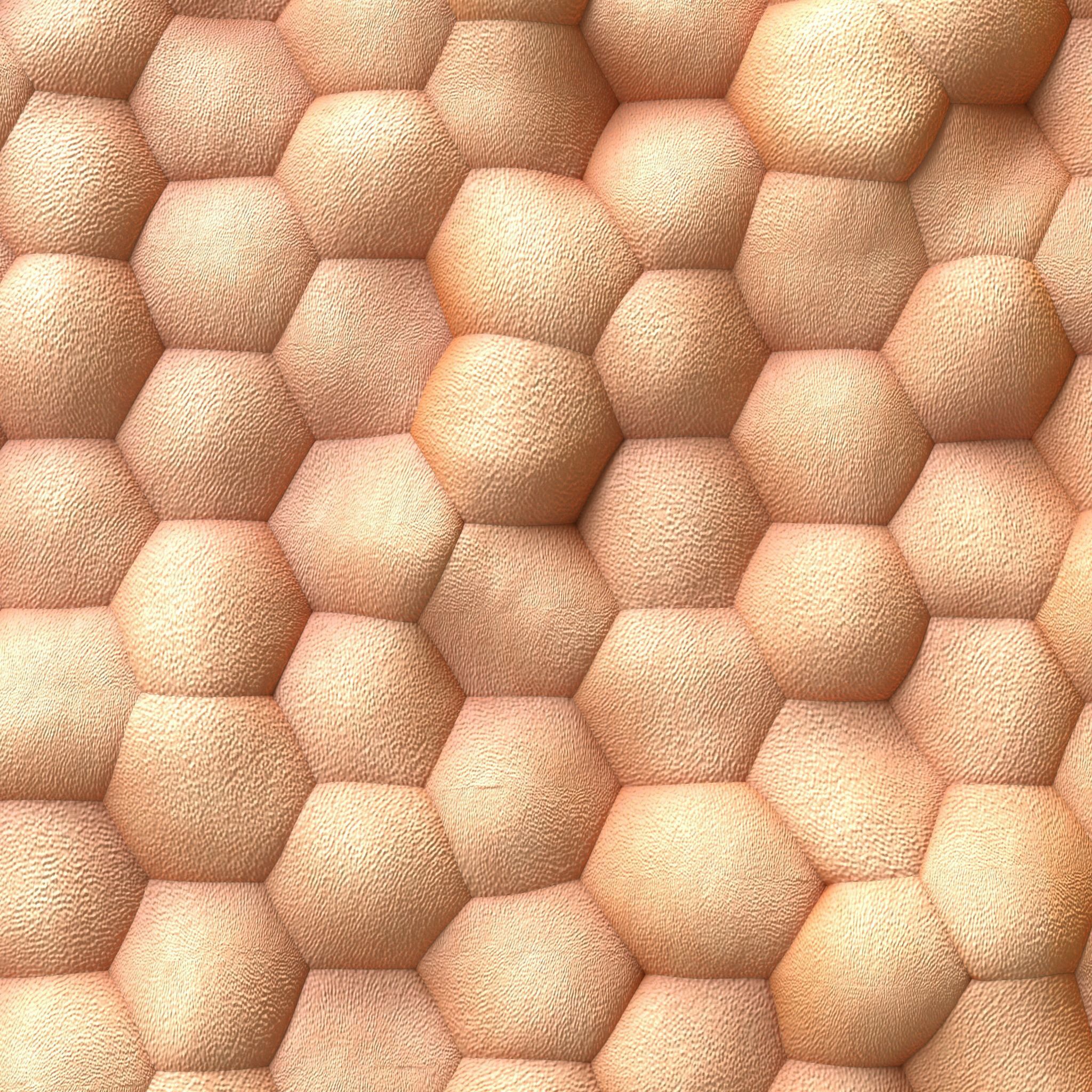 Human skin anatomy 3D model_2