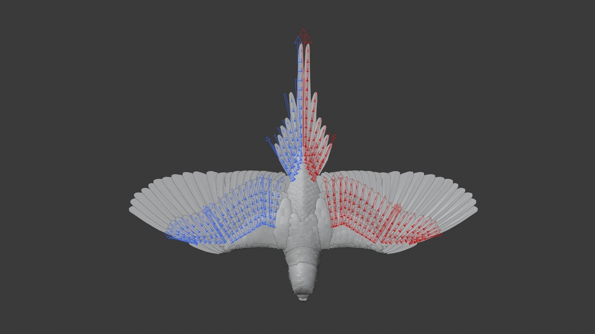 Budgerigar Rigged VFX Grace 3D model_9