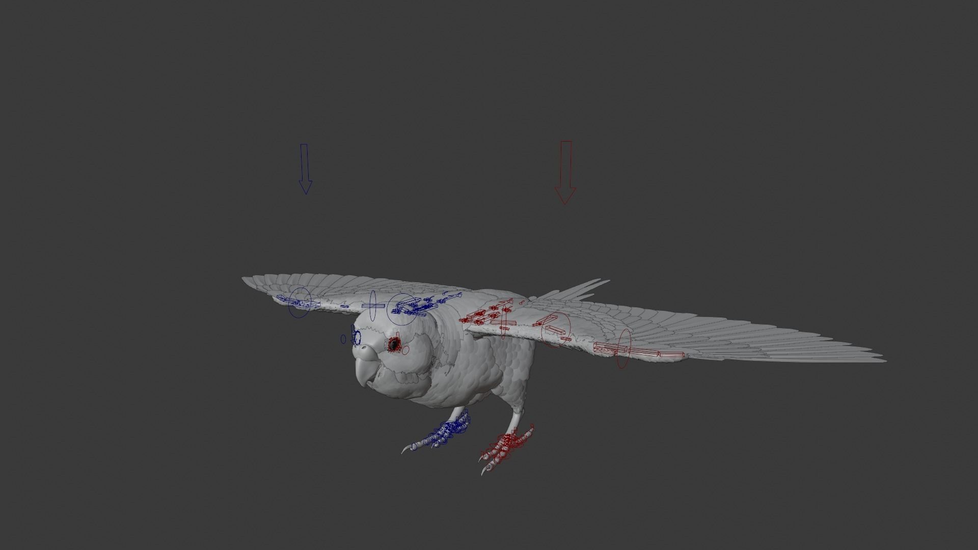 Budgerigar Rigged VFX Grace 3D model_6