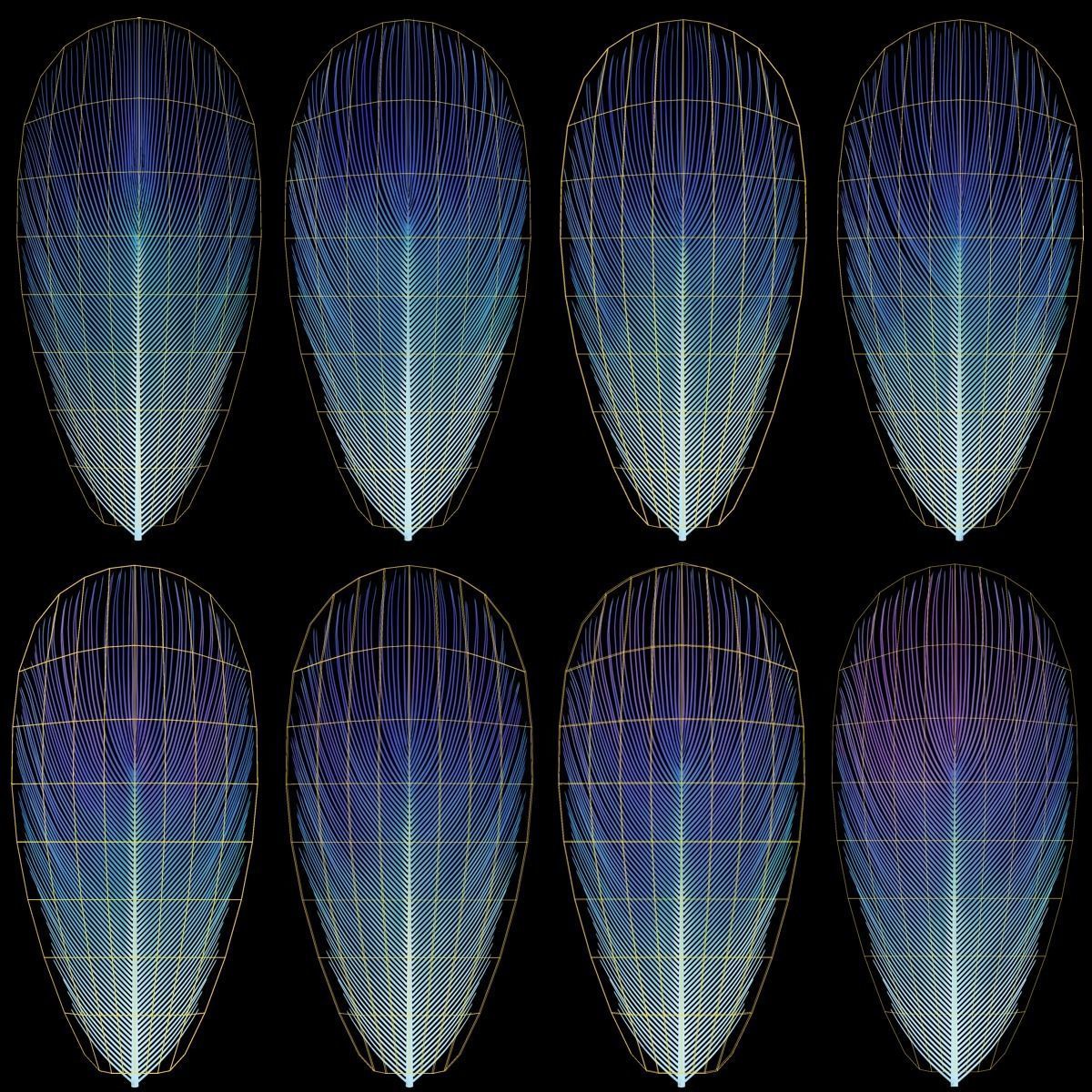 Budgerigar Rigged VFX Grace 3D model_20