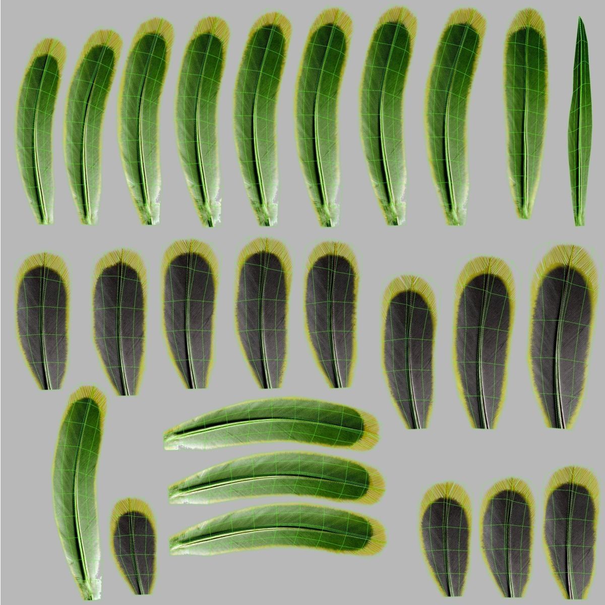 Budgerigar Rigged VFX Grace 3D model_28