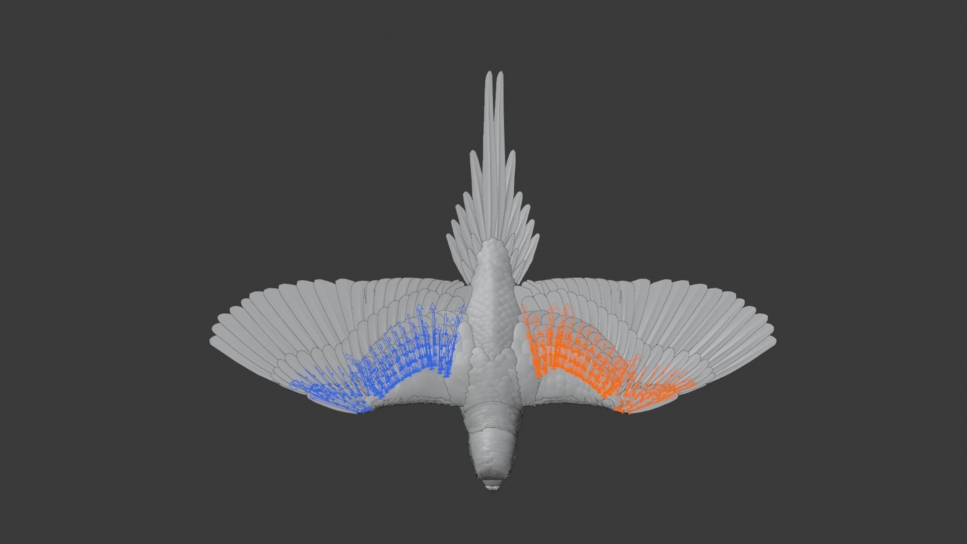 Budgerigar Rigged VFX Grace 3D model_10