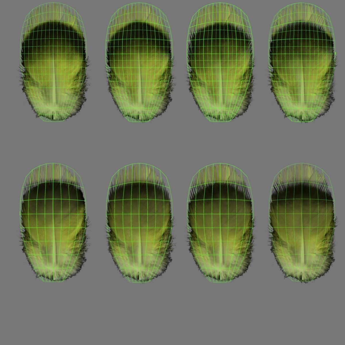 Budgerigar Rigged VFX Grace 3D model_22