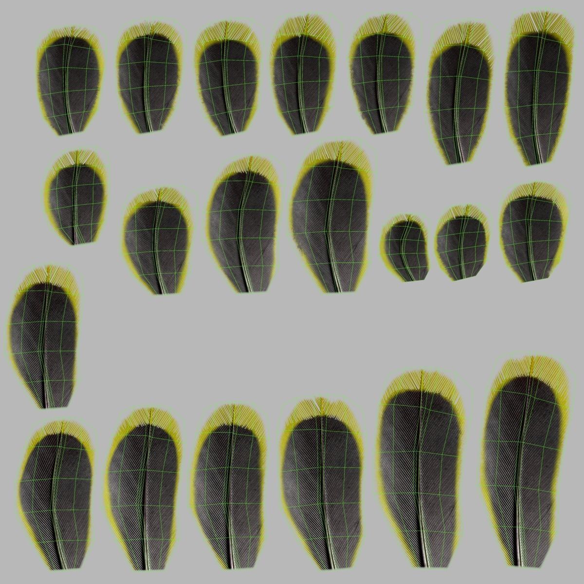 Budgerigar Rigged VFX Grace 3D model_34