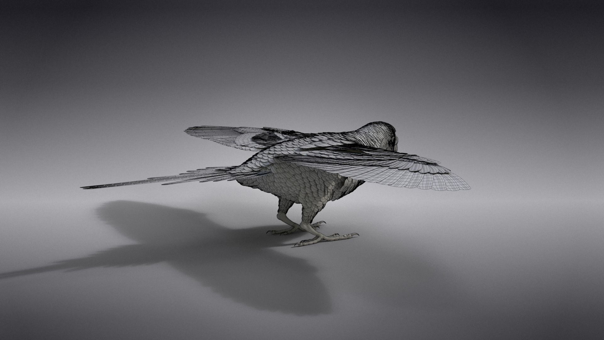 Budgerigar Rigged VFX Grace 3D model_37