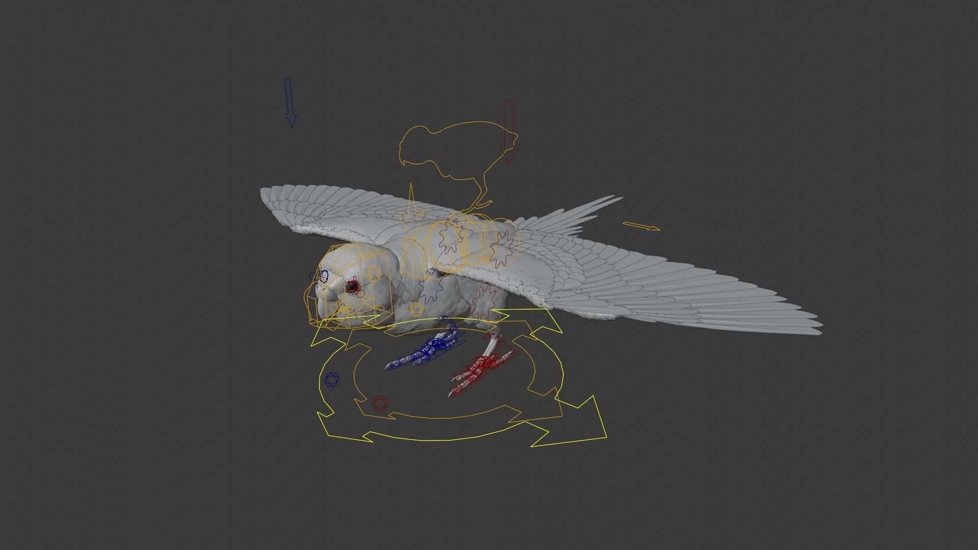 Budgerigar Rigged VFX Grace 3D model_5