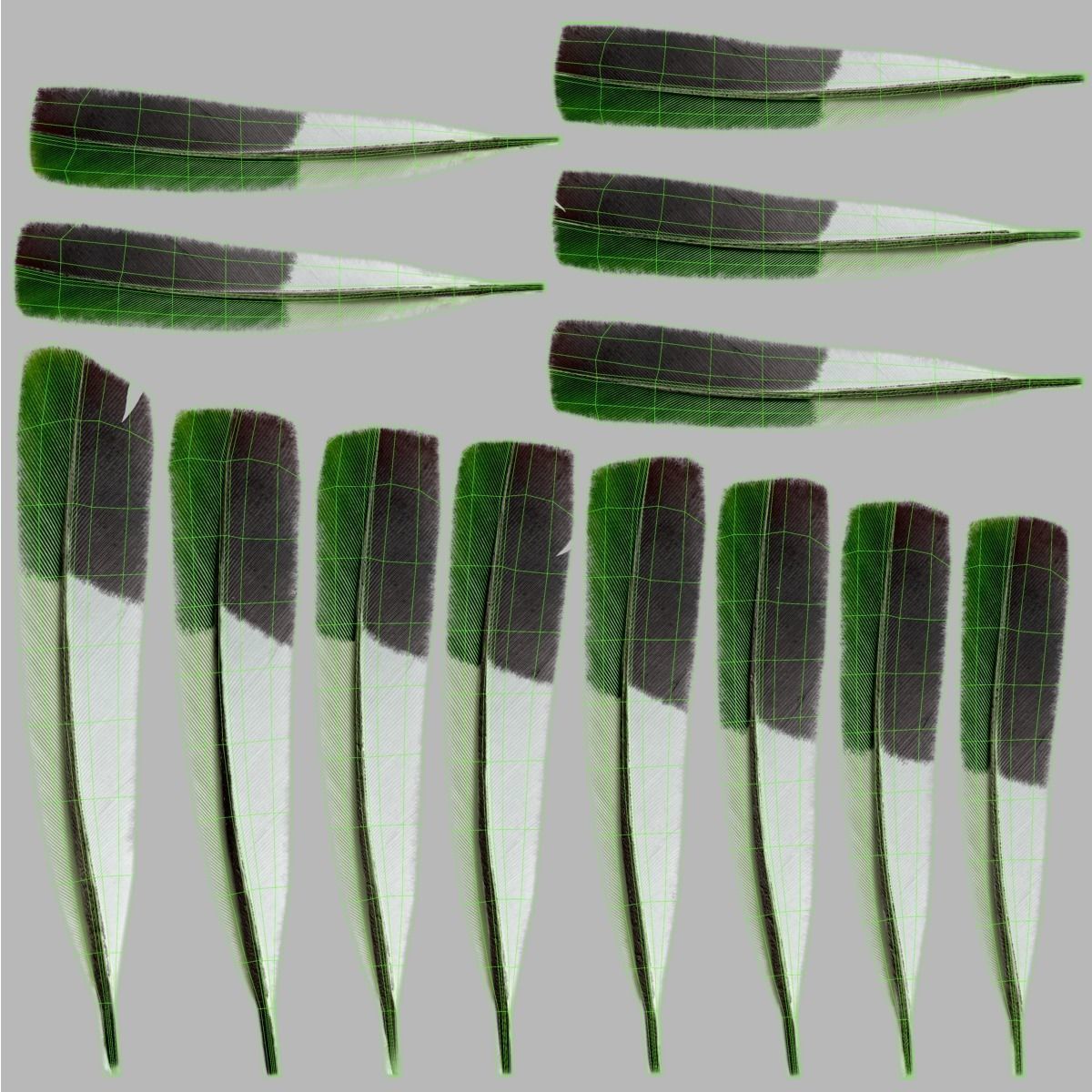 Budgerigar Rigged VFX Grace 3D model_26