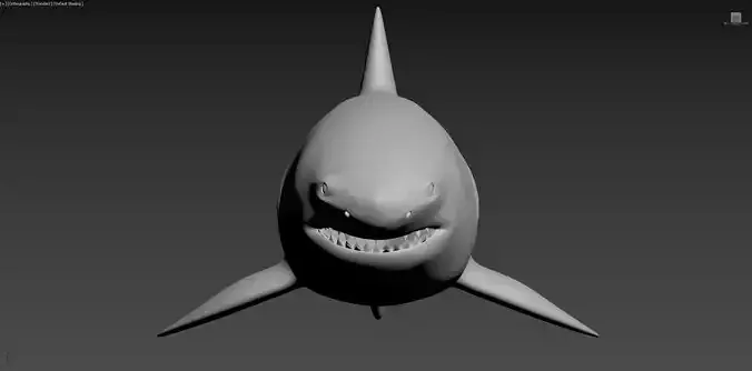 requin shark