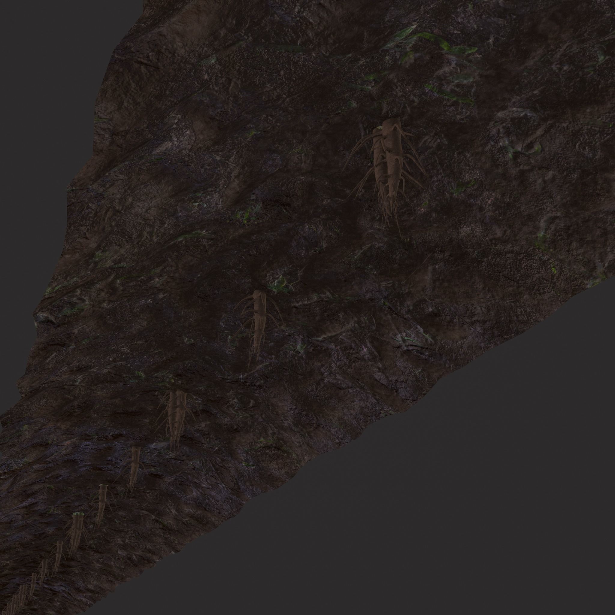 Farmers Crop Row Lettuce Low-poly 3D model_7