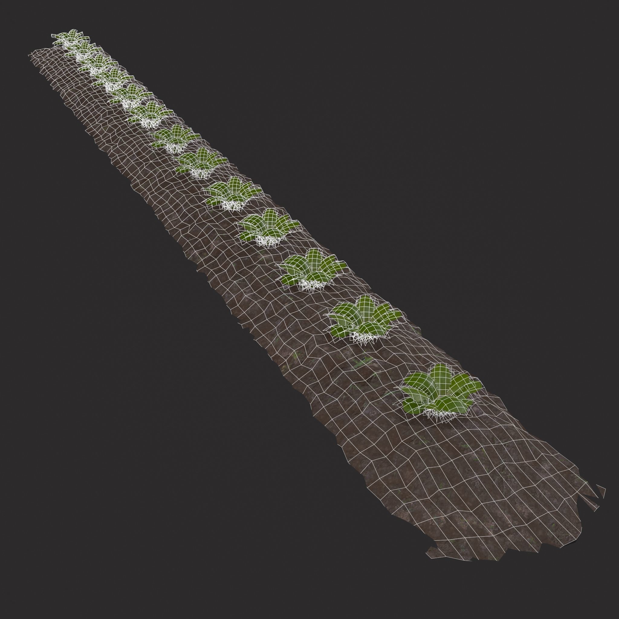 Farmers Crop Row Lettuce Low-poly 3D model_2