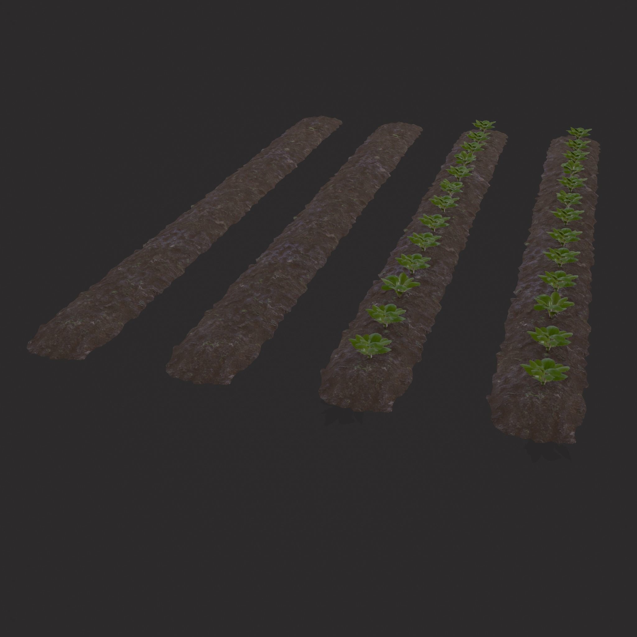 Farmers Crop Row Lettuce Low-poly 3D model_15