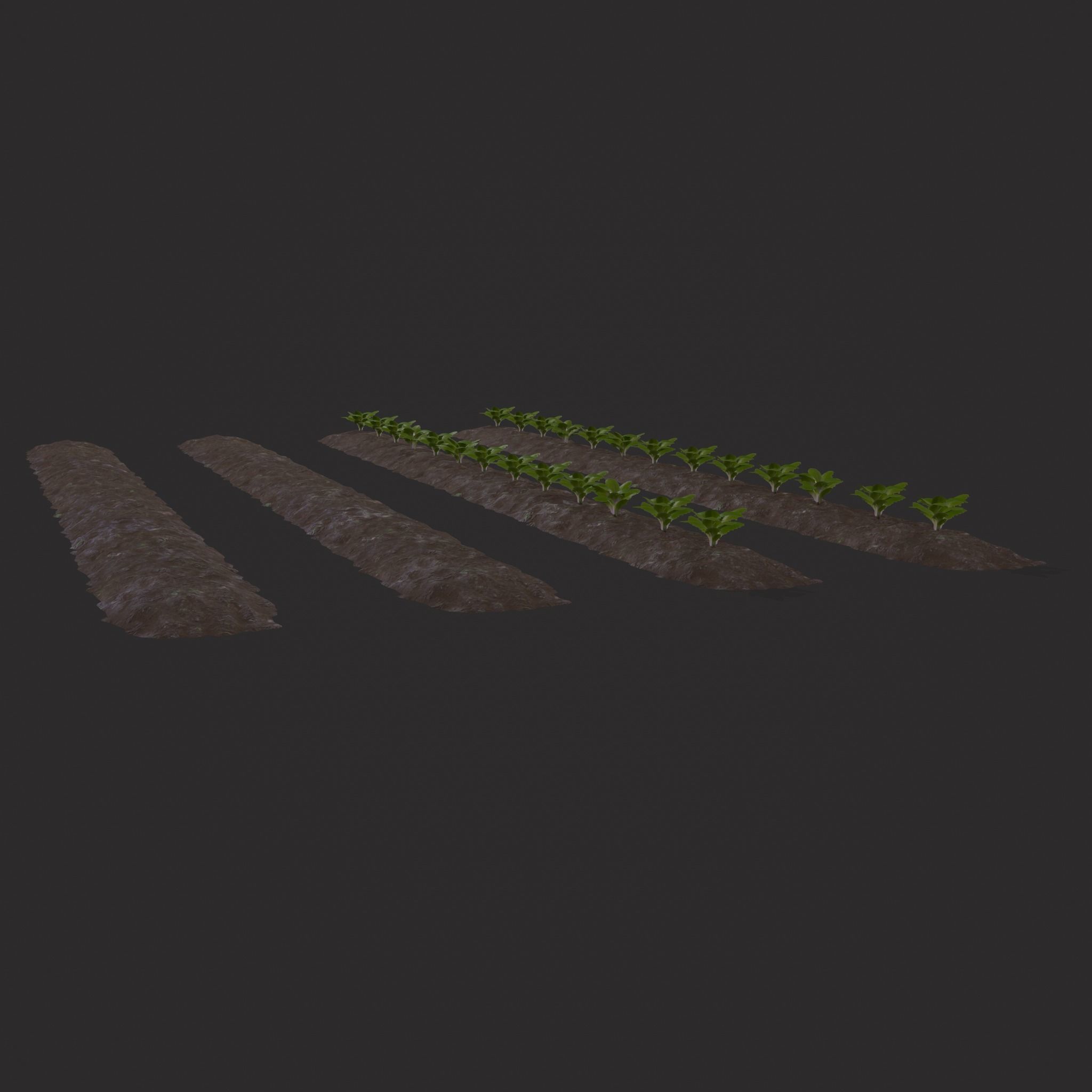 Farmers Crop Row Lettuce Low-poly 3D model_17