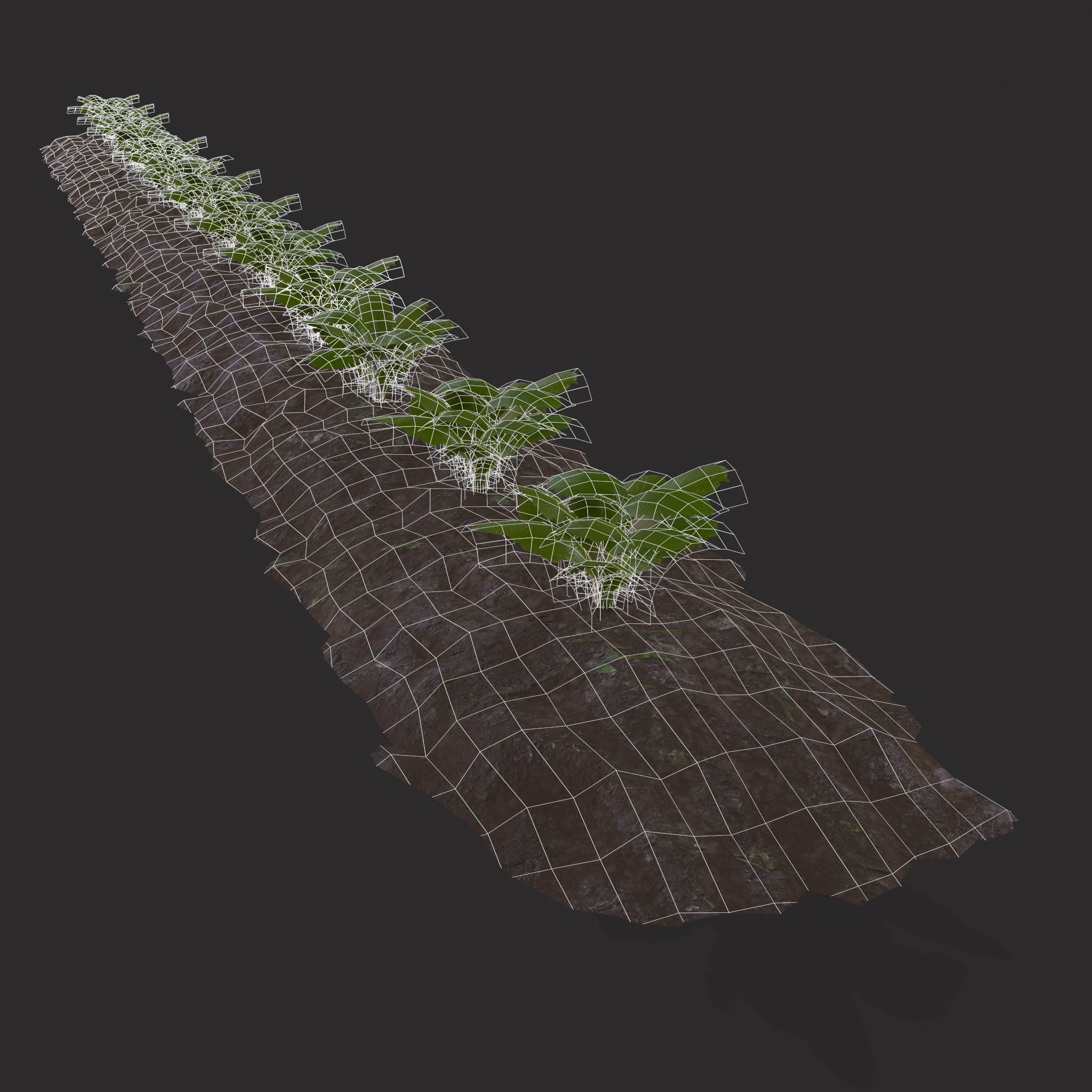 Farmers Crop Row Lettuce Low-poly 3D model_14