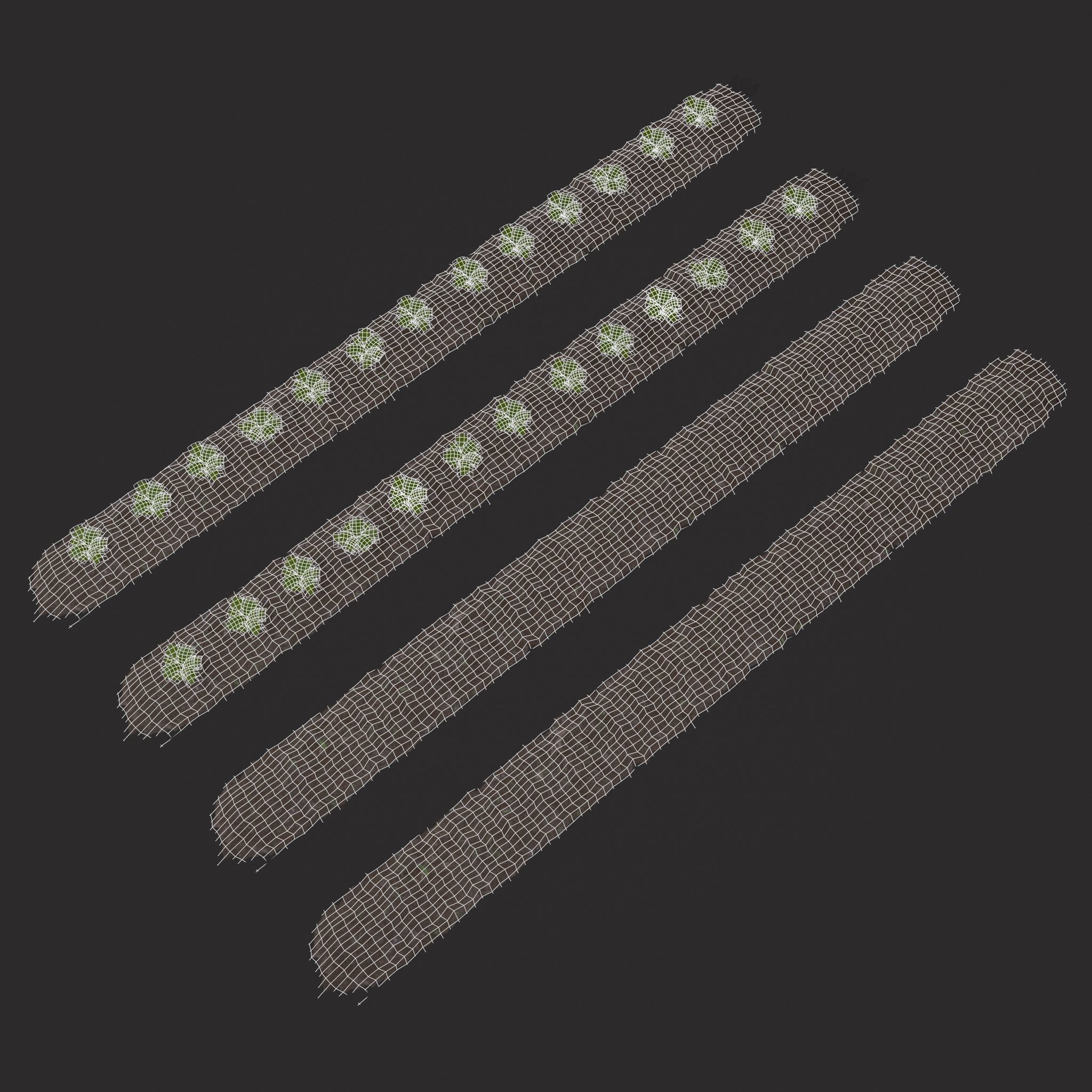 Farmers Crop Row Lettuce Low-poly 3D model_20