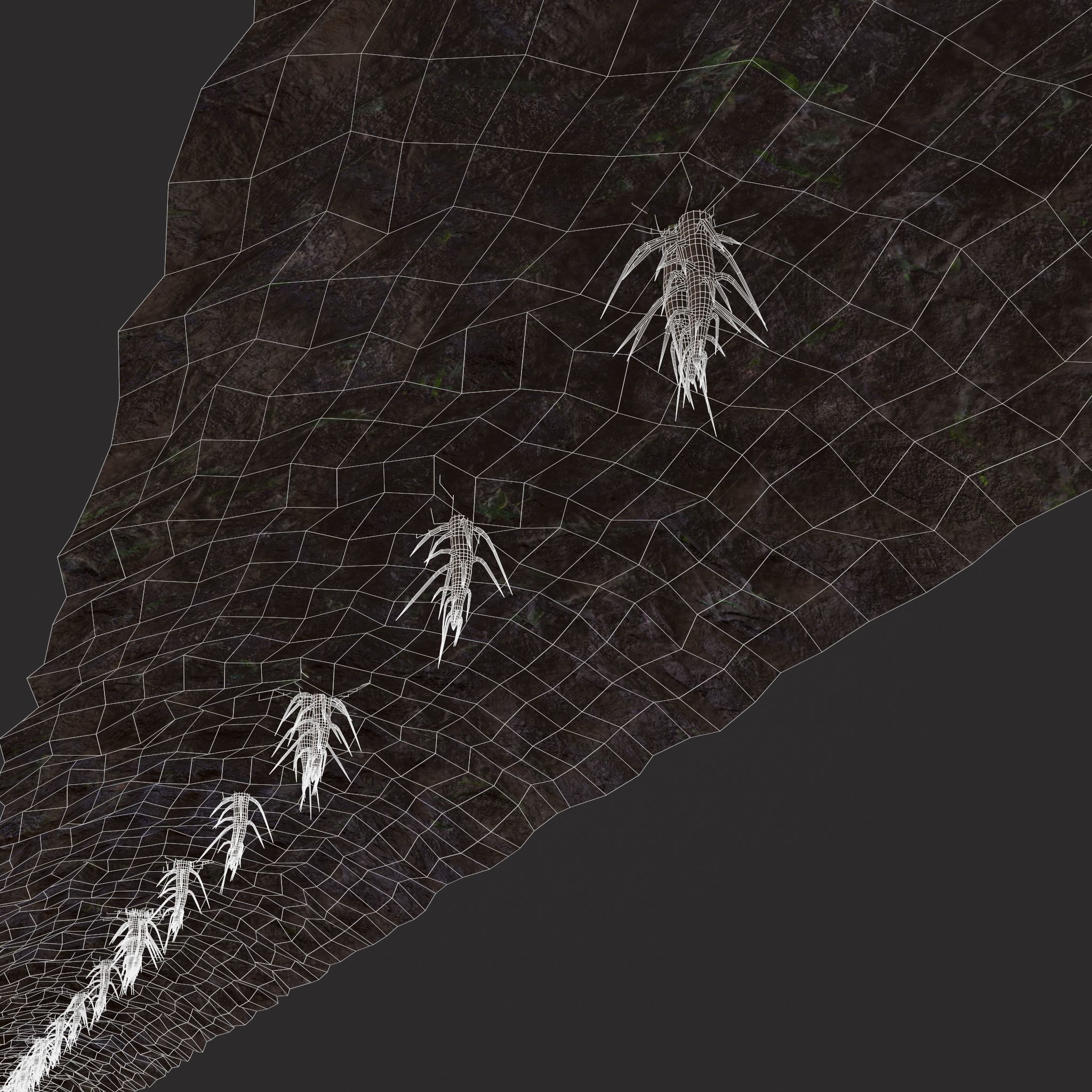 Farmers Crop Row Lettuce Low-poly 3D model_8