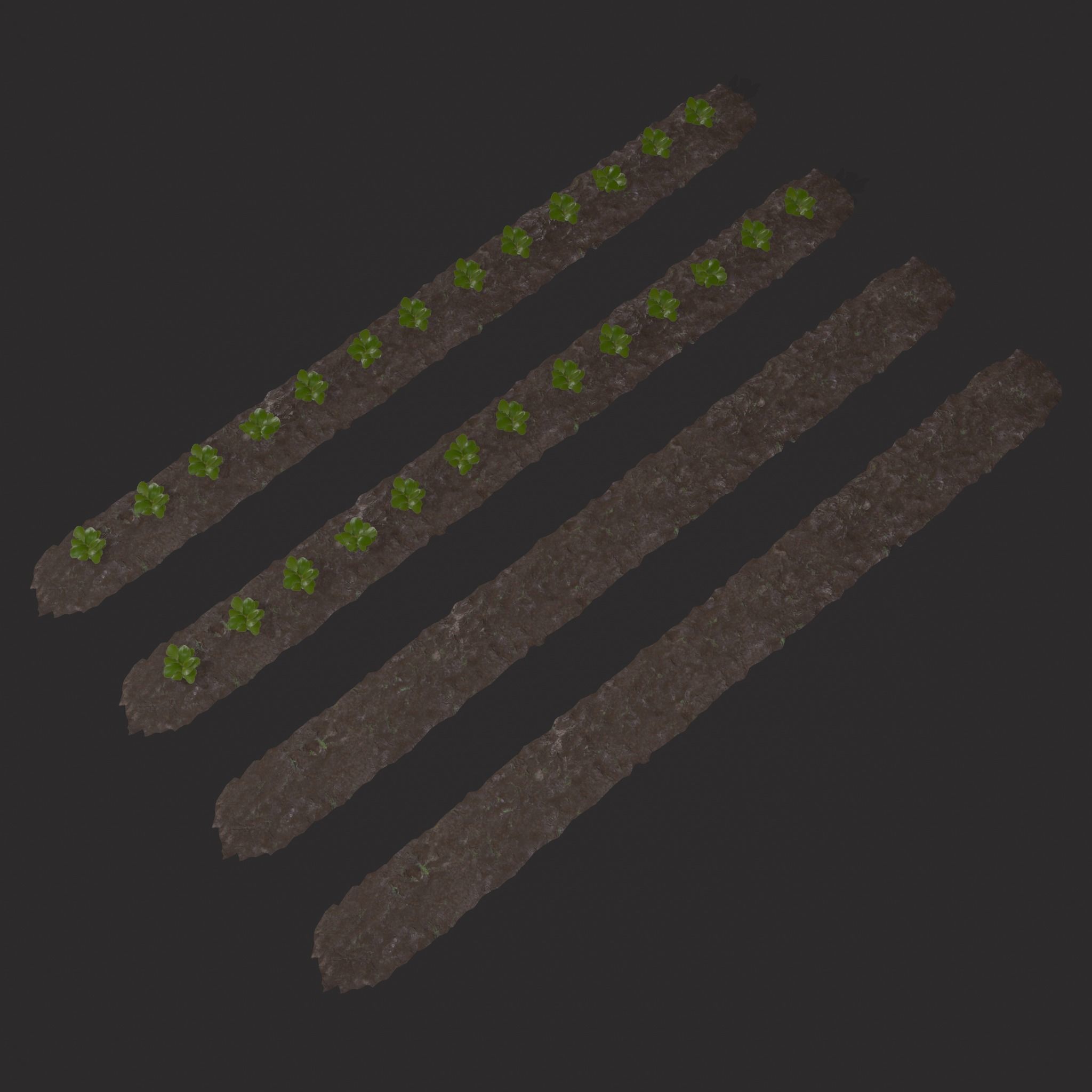 Farmers Crop Row Lettuce Low-poly 3D model_19