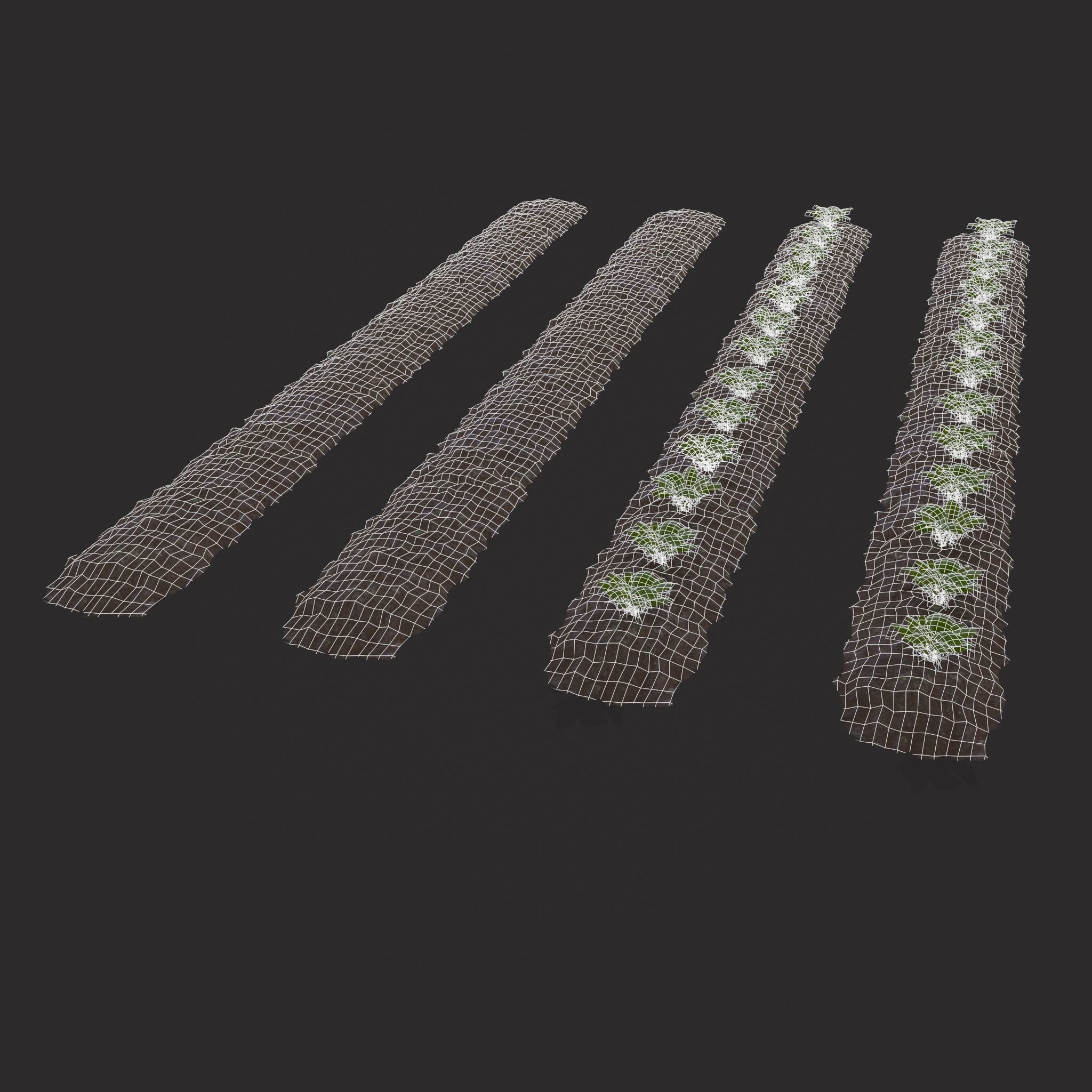 Farmers Crop Row Lettuce Low-poly 3D model_16