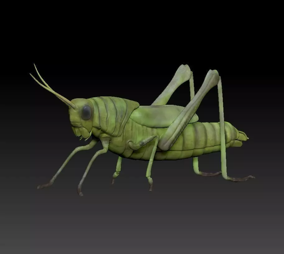 Grasshopper 3D Print Model 3D print model