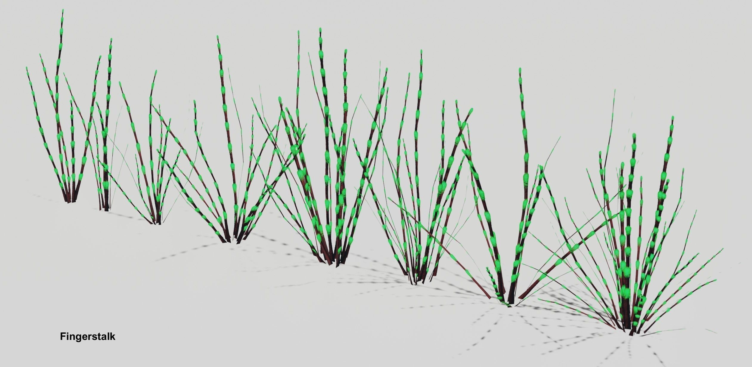 Glowing alien herbs 5 Low-poly 3D model_4