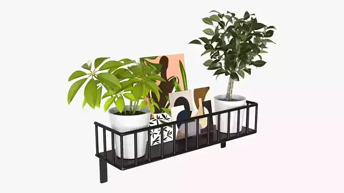 Decorative wall shelf with plants 03