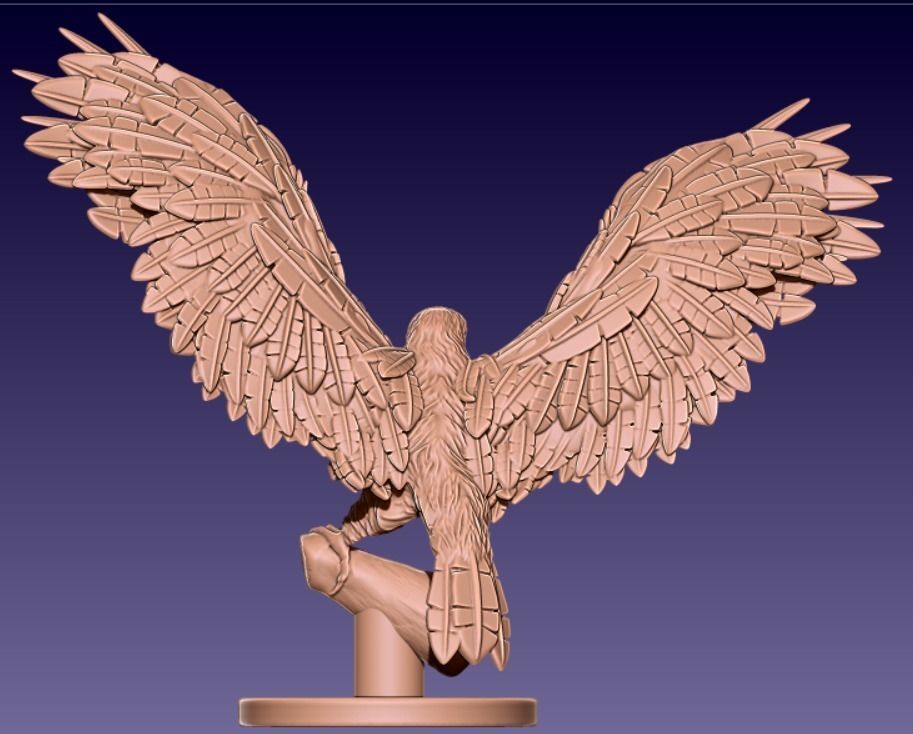 FALCON bird with wings spread out 3D print model_2
