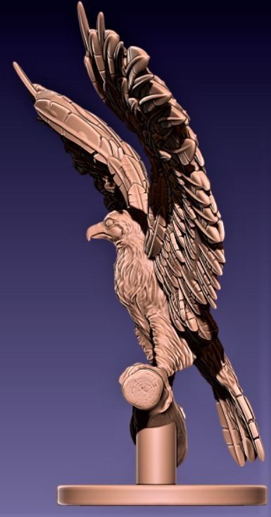 FALCON bird with wings spread out 3D print model_4