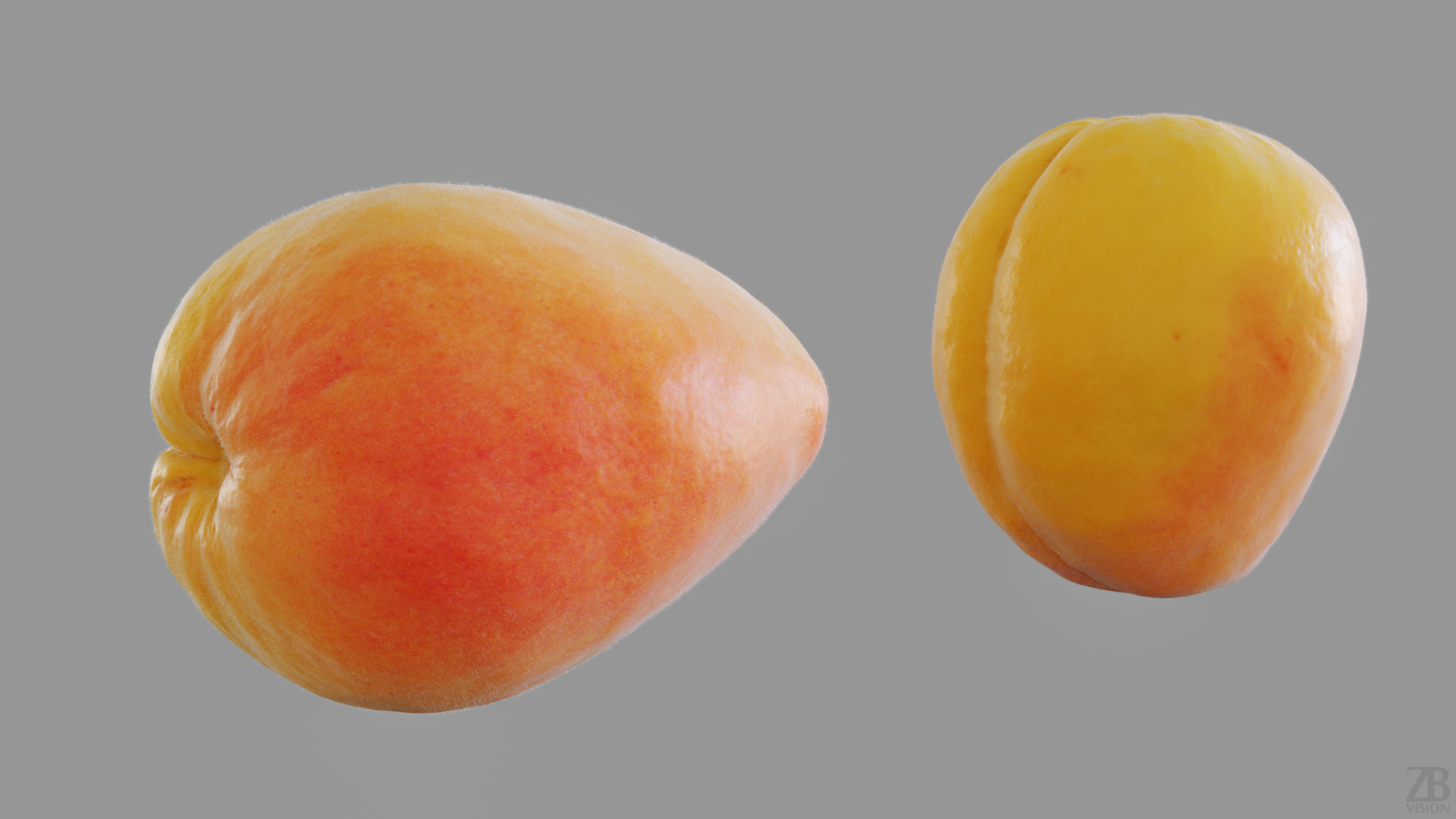 Apricot 3D model_14