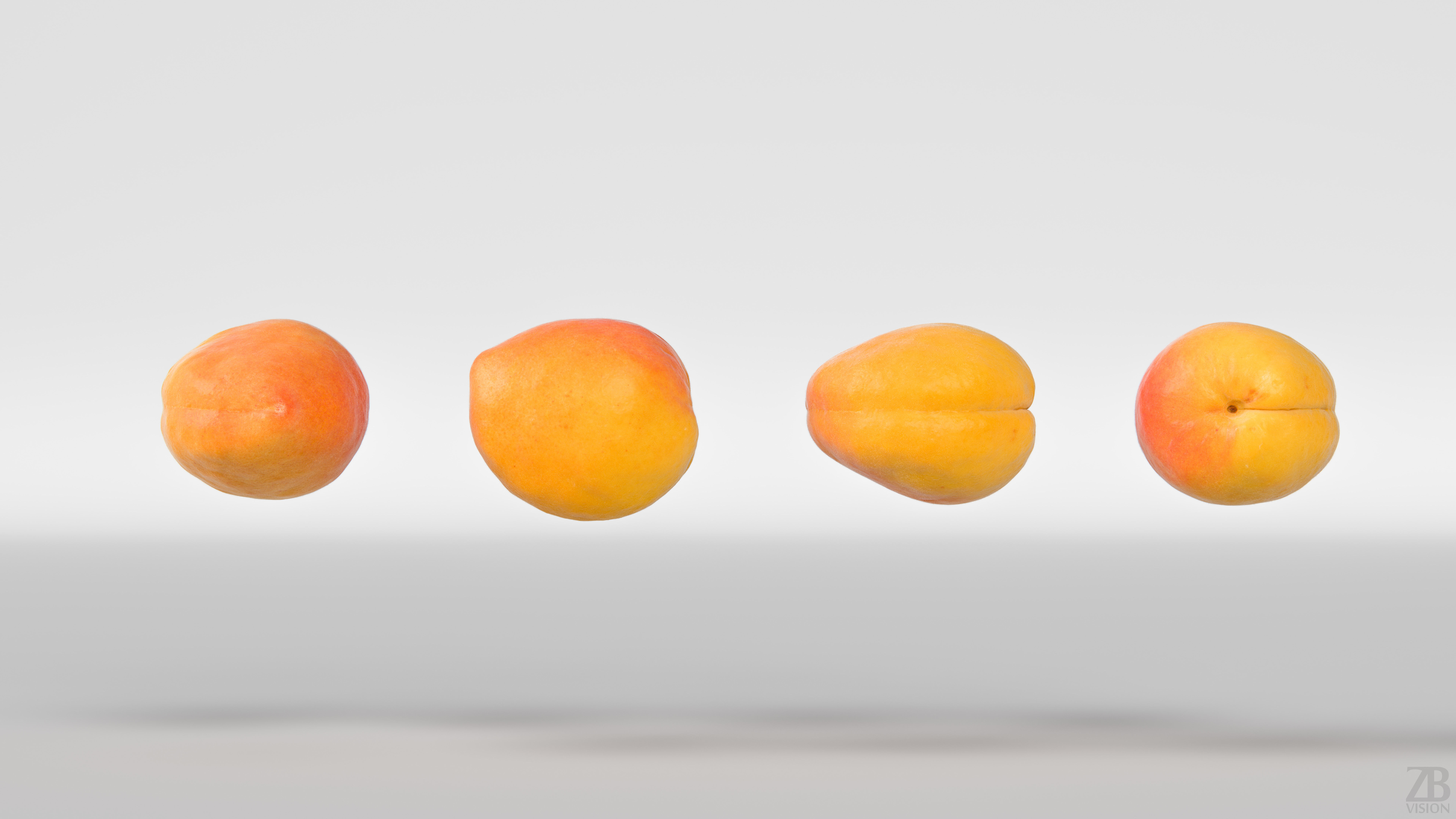 Apricot 3D model_4