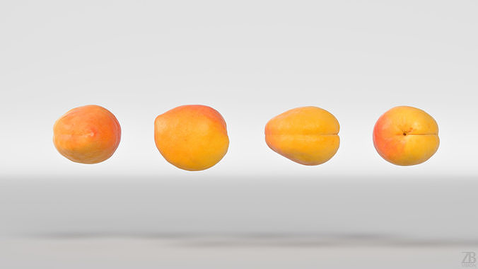Apricot 3D model 5