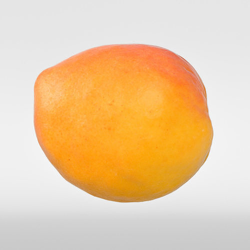 Apricot 3D model 6