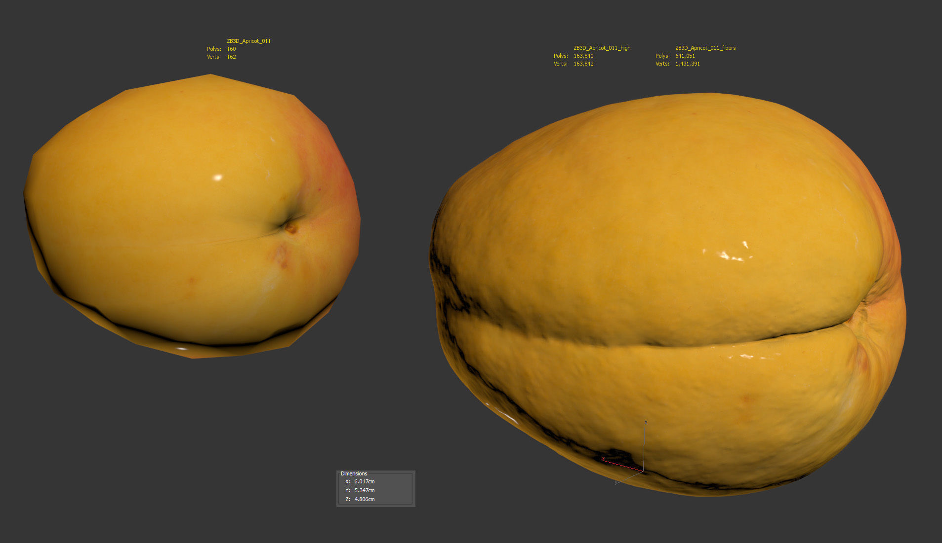 Apricot 3D model_9